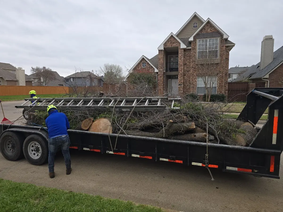 Expert Tree Removal with proper safety equipment in Henrietta